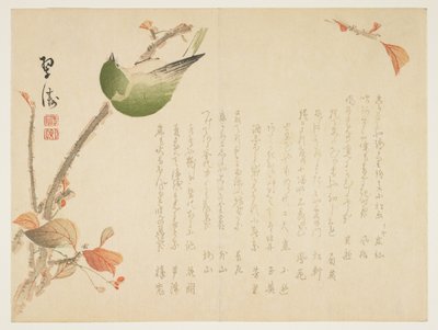 Japanese Nightingale Perched on a Branch by Suit